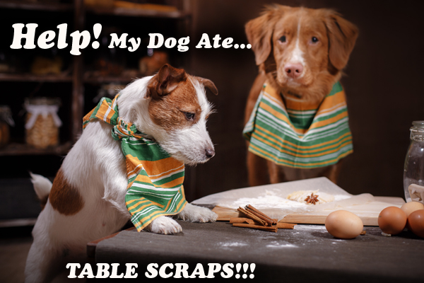 What Happens To a Dog Who Eats Table Scraps