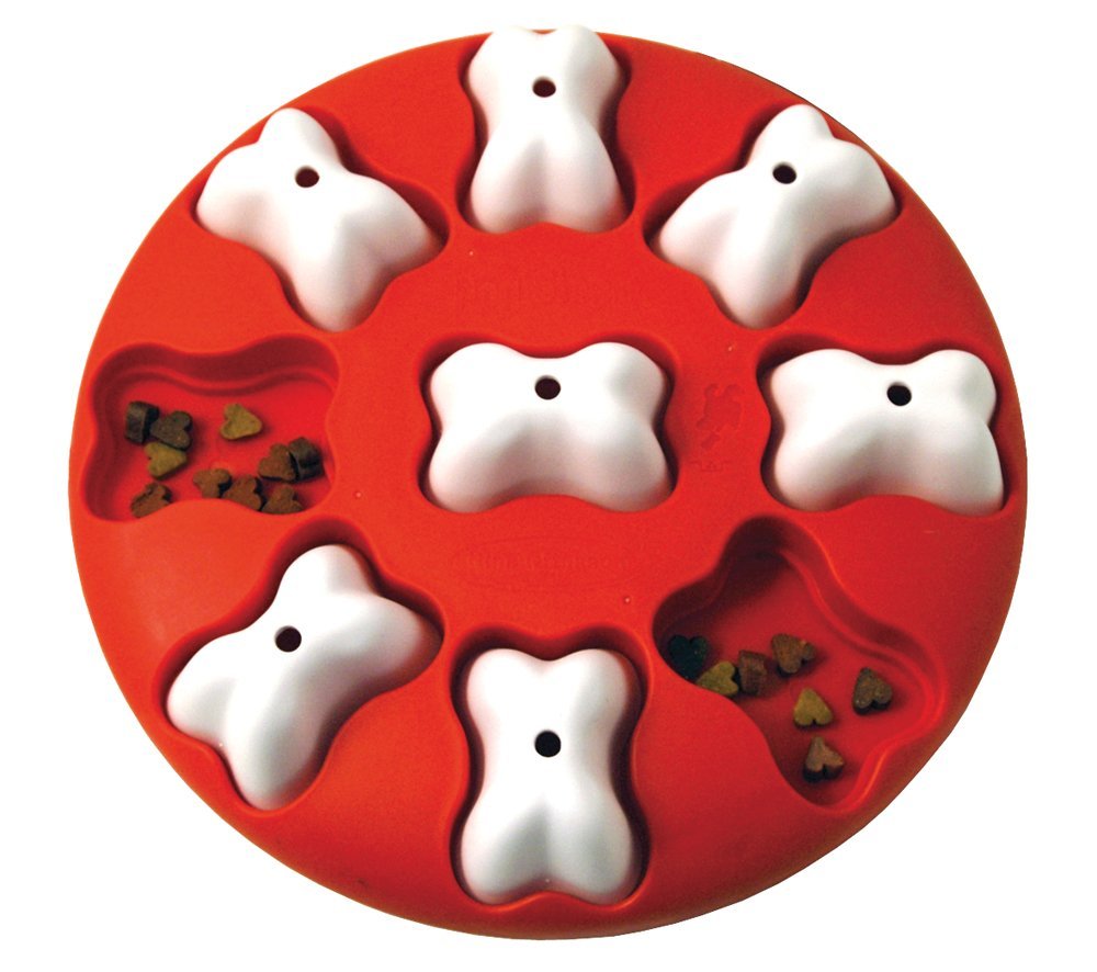 interactive dog toys for shiba inu