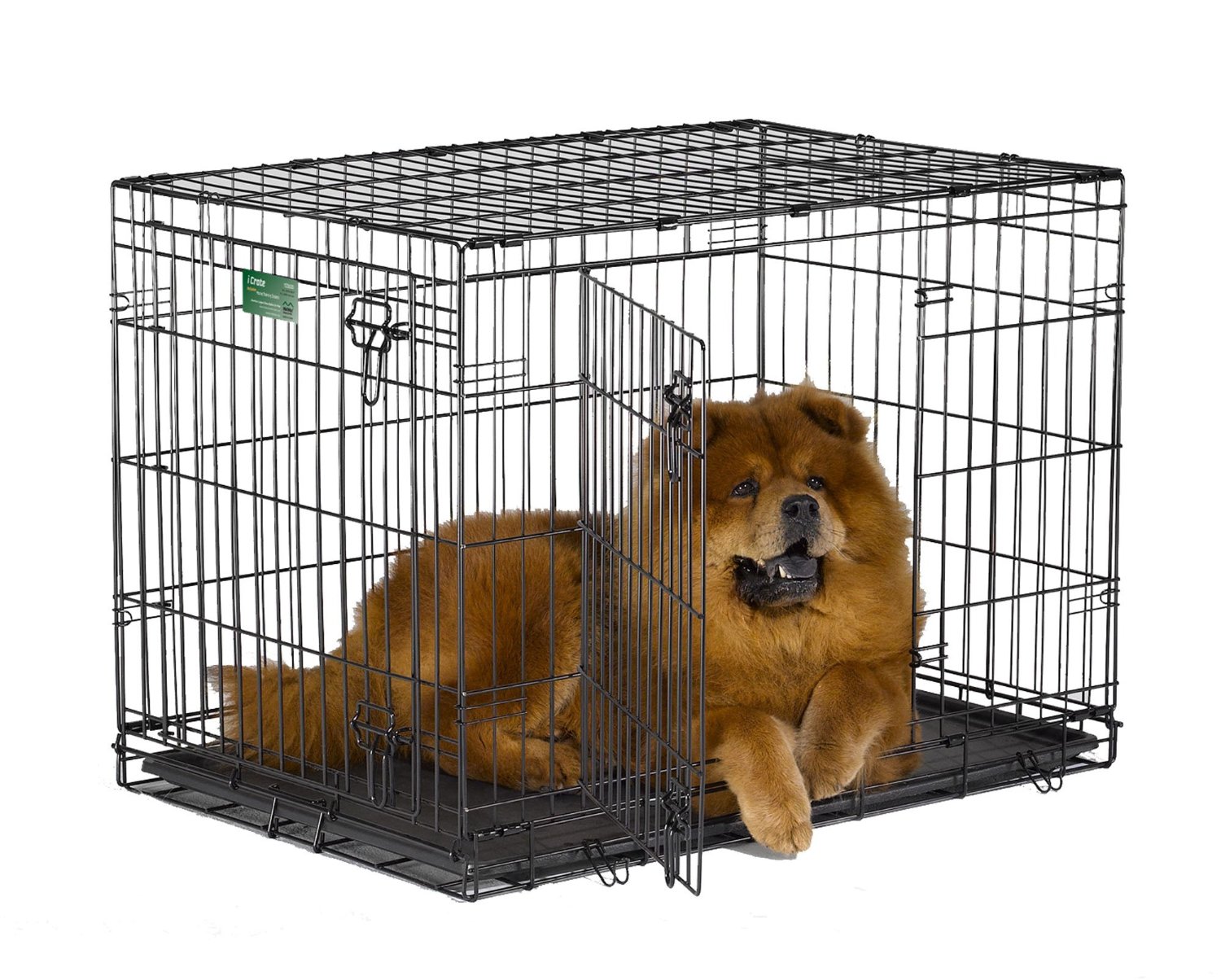 best-wire-dog-crates-for-shiba-inus-my-first-shiba-inu