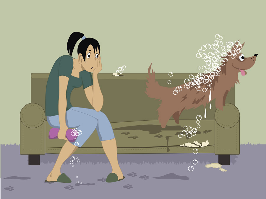 wet dog on couch illustration