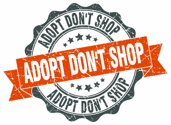 adopt don't shop sign