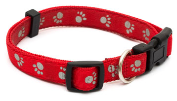 standard red dog collar with buckle and clip