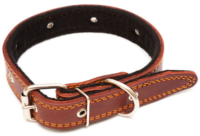 brown leather dog collar on white background