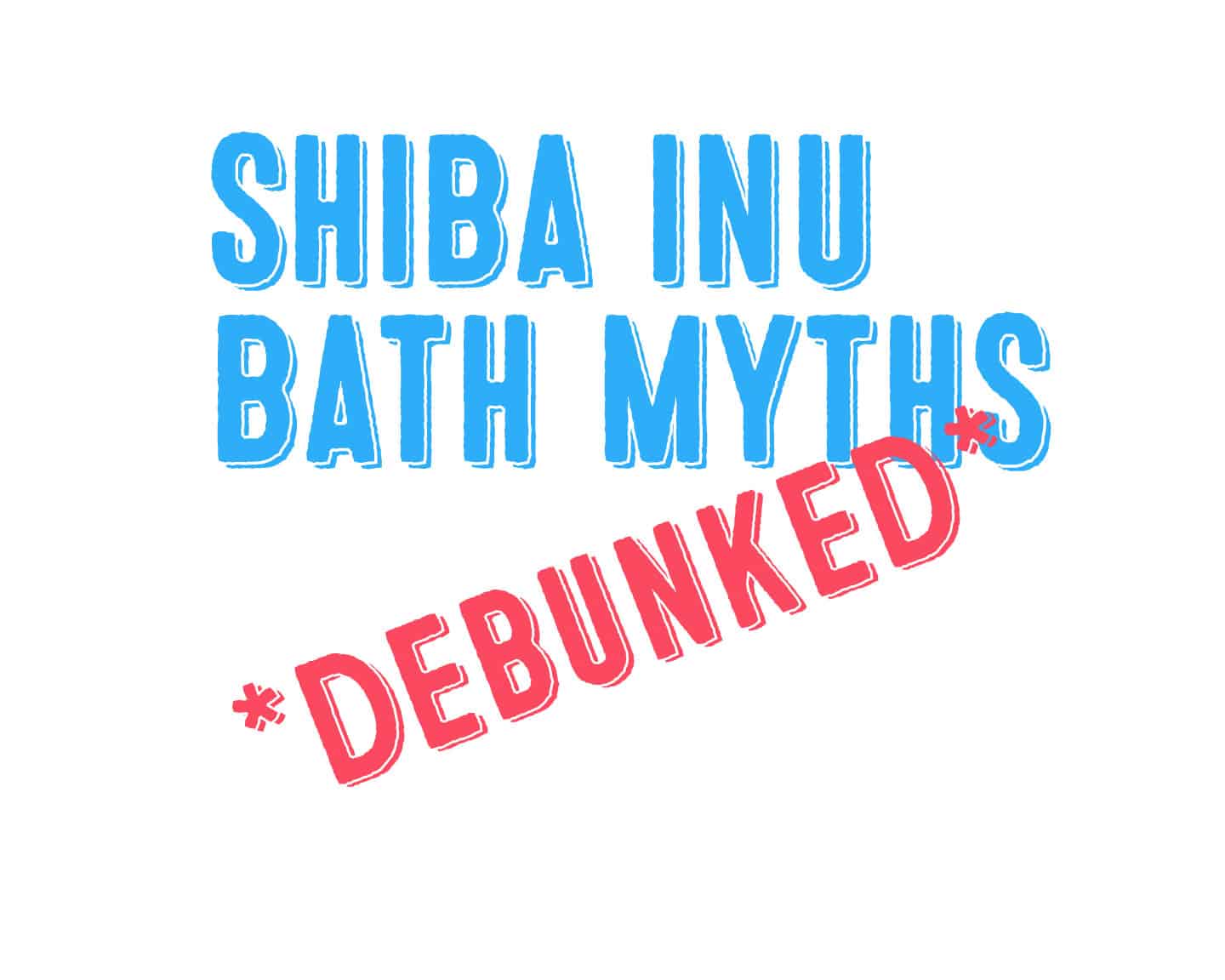 Why Do So Many Shiba Inu Owners Think Baths Are Bad For Shibas