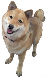 colored painting of a shiba inu