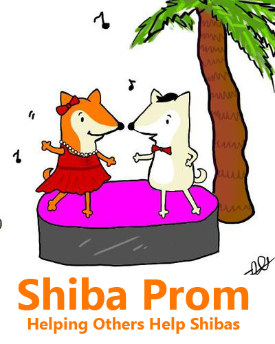 shiba inu shelter resource shiba prom