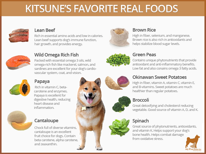 Best Dog Food For Shiba Inus My First Shiba Inu