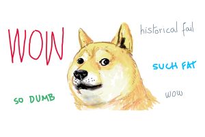 doge - My First Shiba Inu