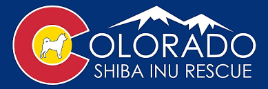 shiba inu rescue of colorado