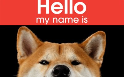 Shiba Inu Dog Names