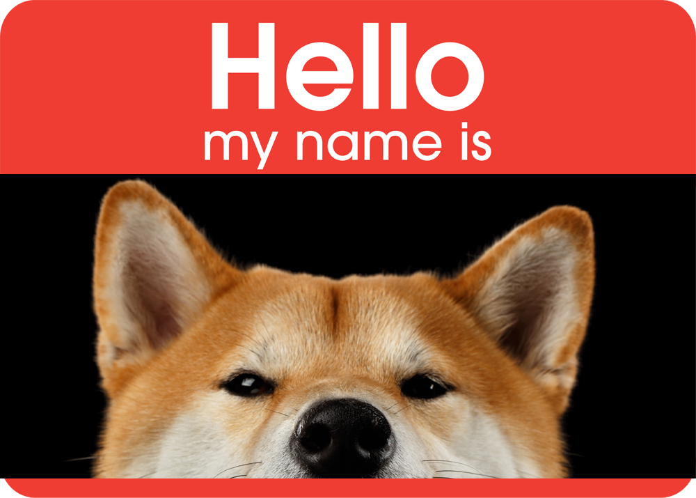 Shiba Inu Dog Names My First Shiba Inu