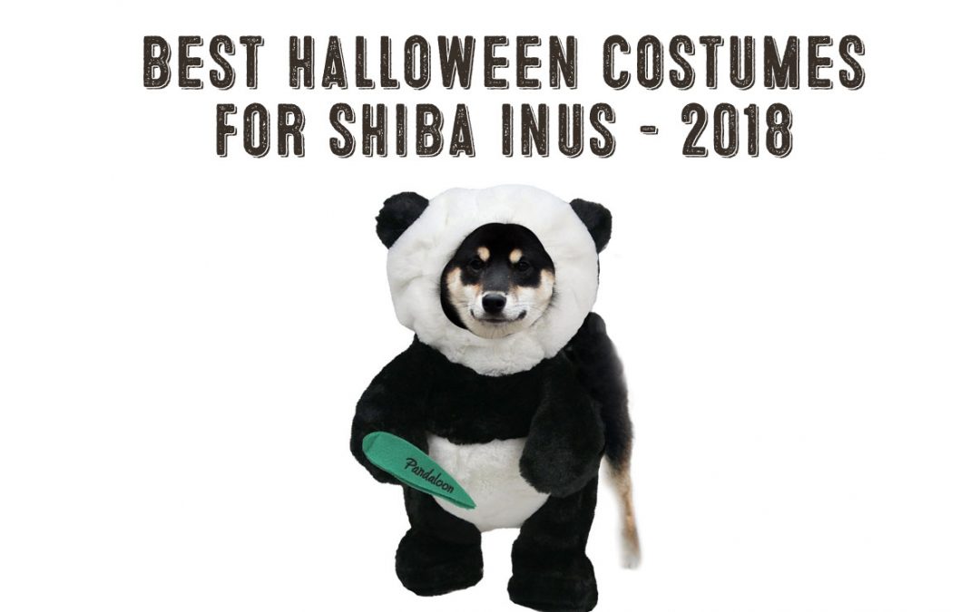 Best Shiba Inu Costumes For 2018 My First Shiba Inu