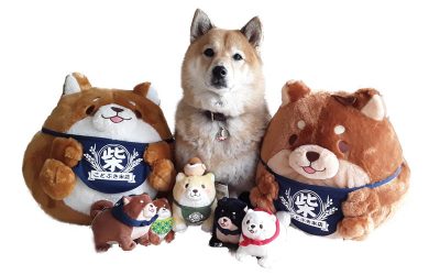 Shiba Inu Plush Toys