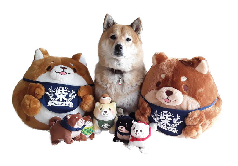 Kawaii Beige Shiba Inu Plush Cute Lying Japanese Mameshiba Dog Gift Plushie Pet 