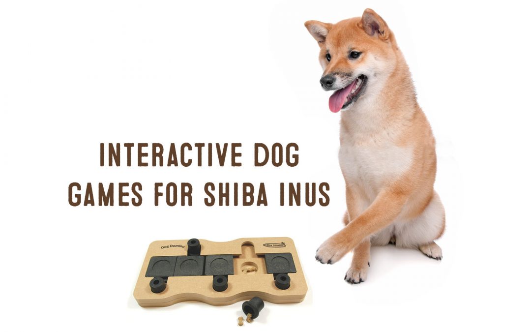 interactive dog toy for shiba inus