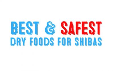 Best AND SAFEST Dry Dog Food For Shiba Inus