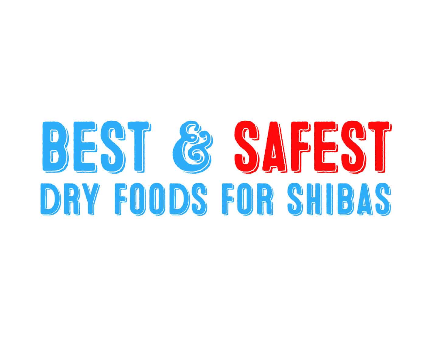 safe dry dog foods shiba inus