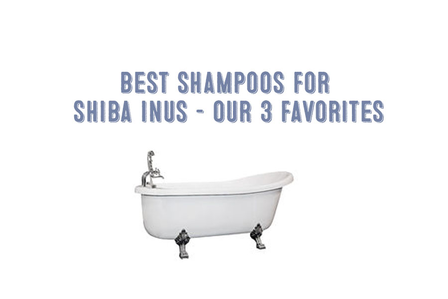 The Best Shampoos For Shiba Inus – Our Three Favorites