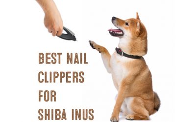 The Best Dog Nail Clippers For Shiba Inus