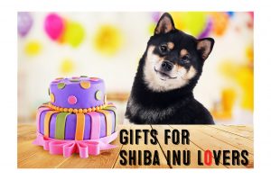 shiba inu gifts image birthday