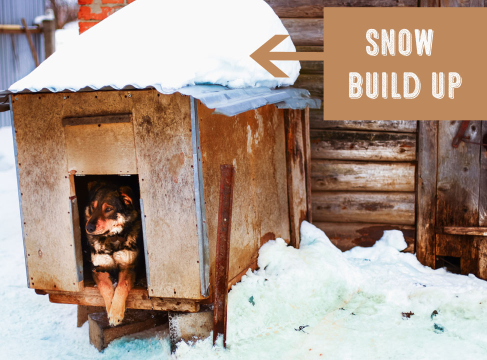 snow build up on traditional dog house