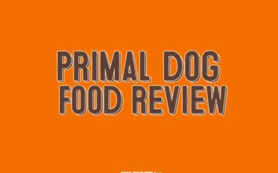 Primal Dog Food Review – My First Shiba