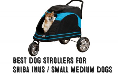 Best Dog Strollers For Shiba Inus / Medium Dogs