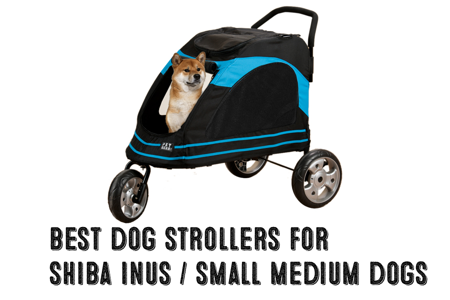 Best Dog Strollers For Shiba Inus / Medium Dogs