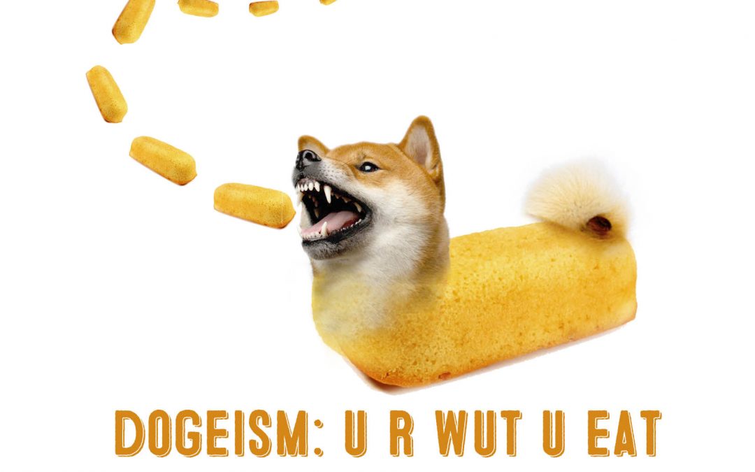 How To Make A Doge Twinkie Of Your Shiba Inu My First Shiba Inu - twinke doge roblox