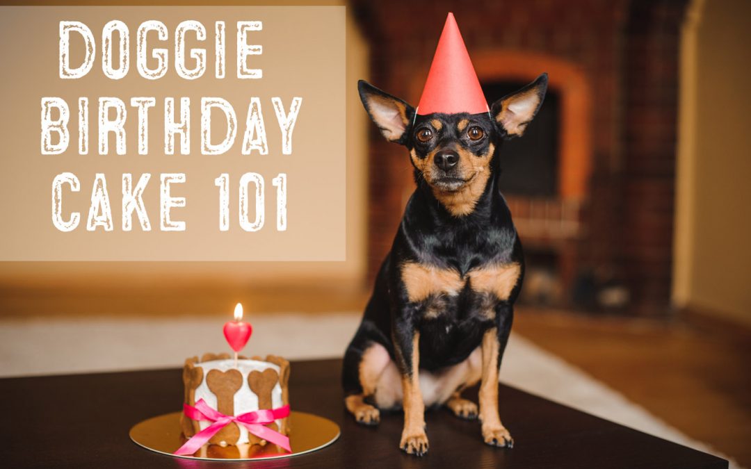 Dog Birthday Cake 101 – Easy Recipes For Dog Cakes and Pupcakes