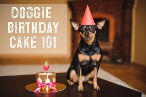 dog birthday cake cupcake