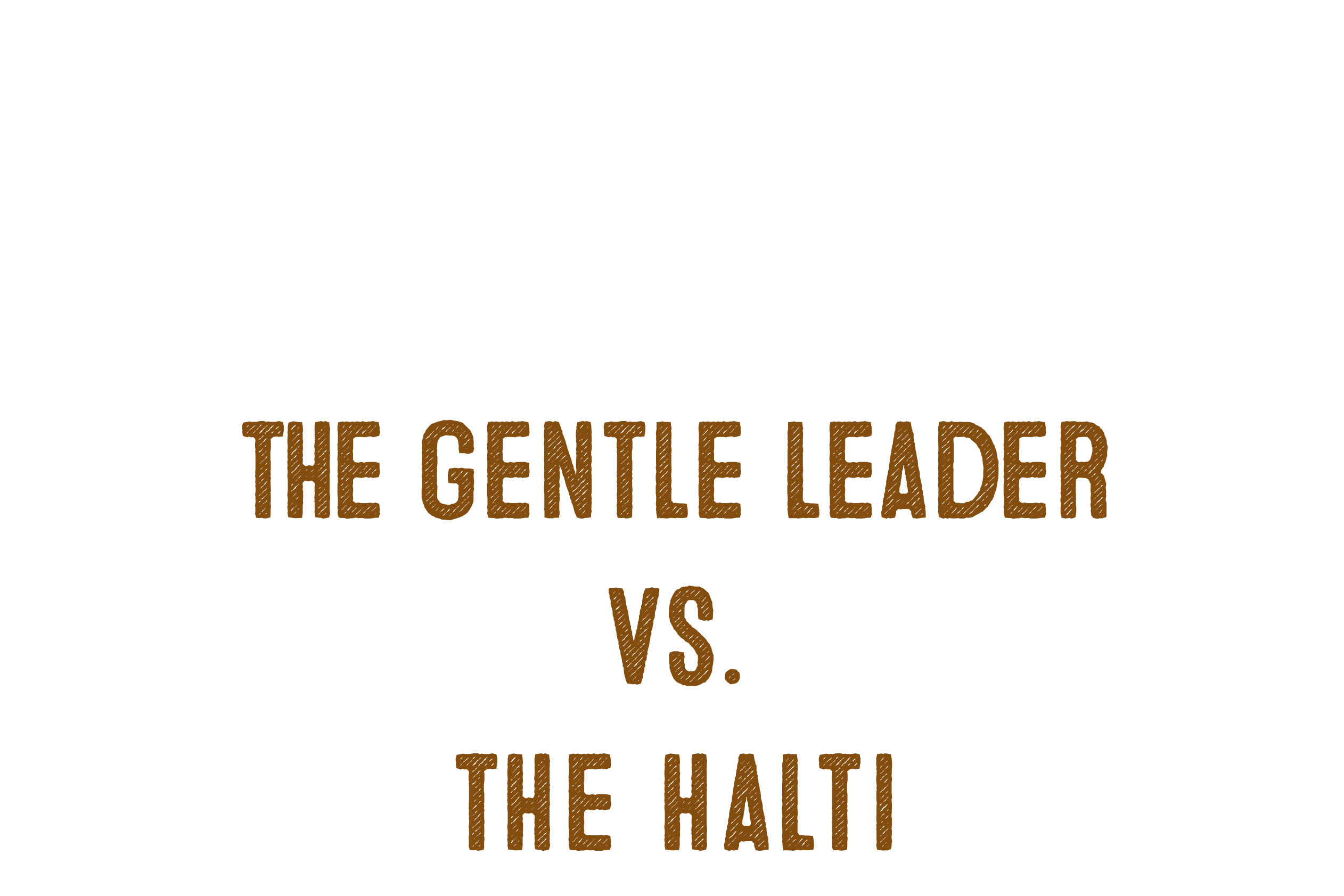 Halti Vs. Gentle Leader – Which Head 