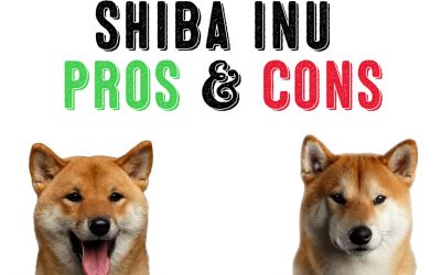 Shiba Inu – The Pros And The Cons