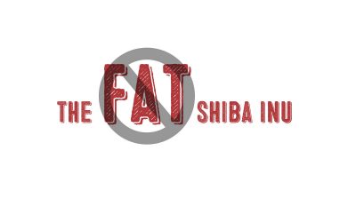 The Fat Shiba Inu And Why Dog Obesity Is Not Cute