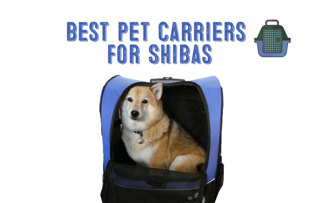 Shiba 2025 inu carrier