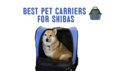 Best Pet Carrier For Shiba Inus / Medium Dogs