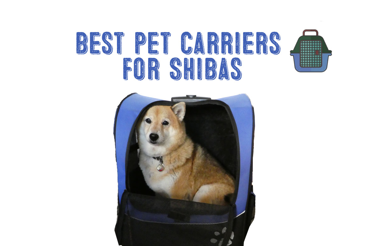 best dog carrier bag