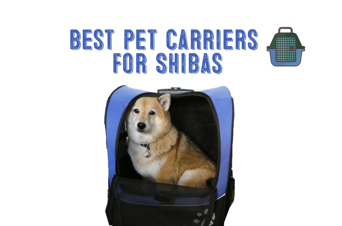 best puppy carrier