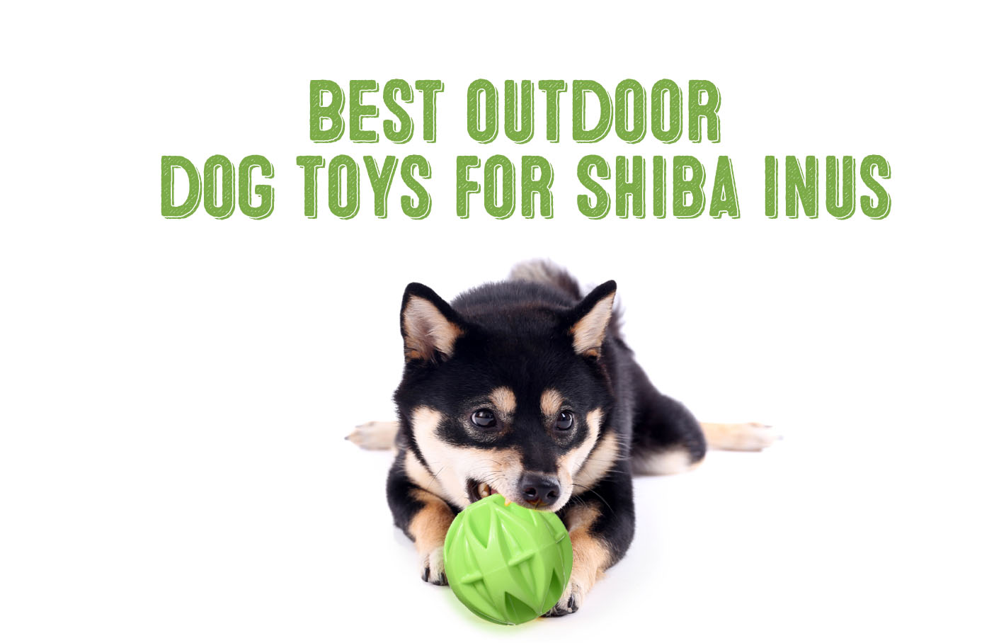 image best outdoor dog toys for shiba inu