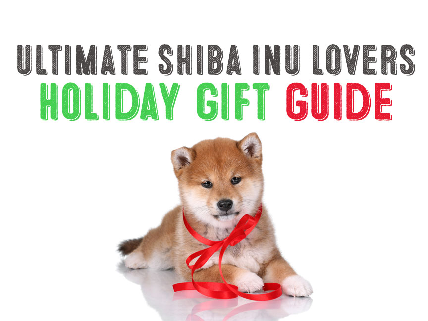 Shiba gifts hot sale