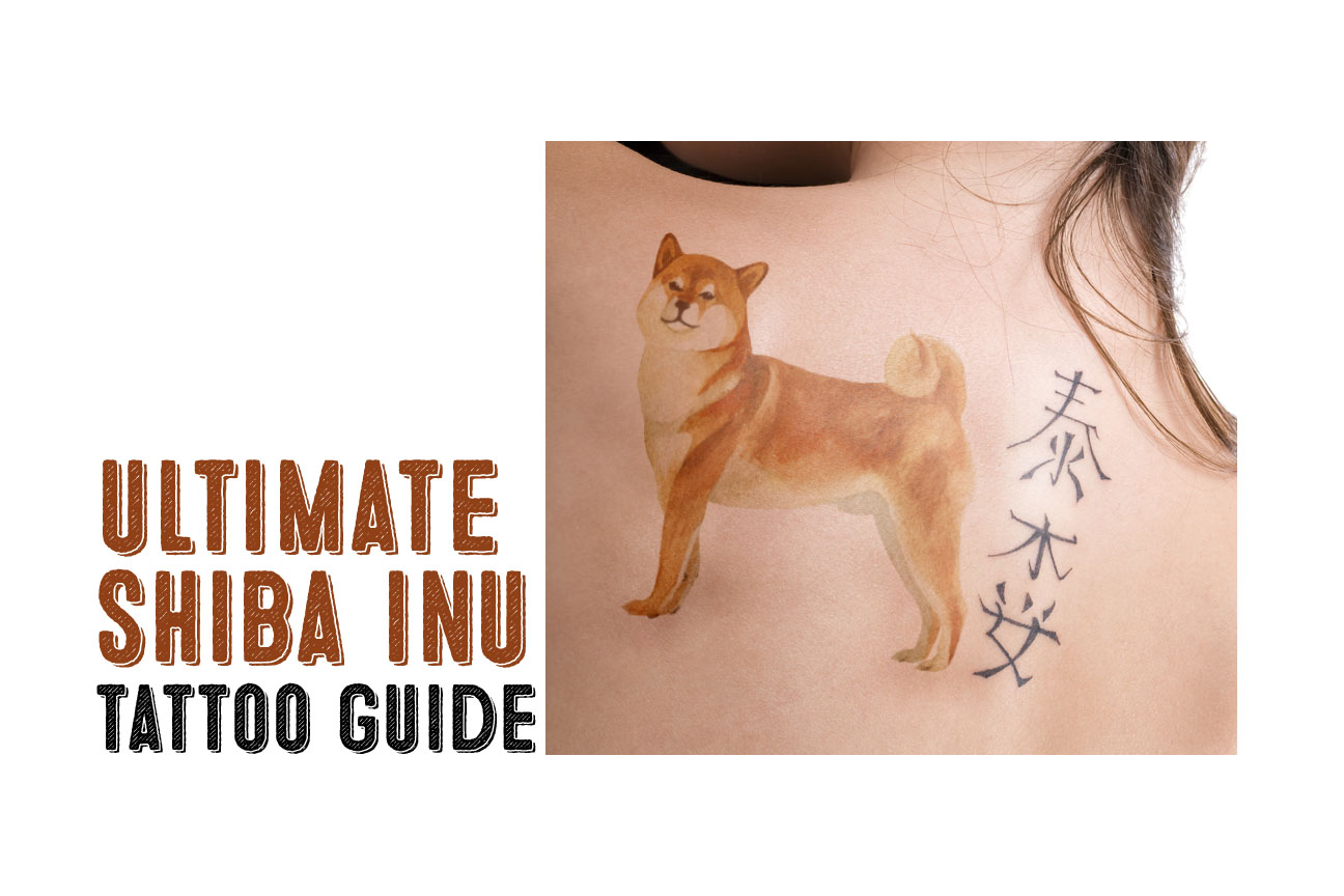 The Ultimate Guide To Shiba Inu Tattoos - My First Shiba Inu.