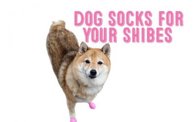 Dog Socks For Your Shibes