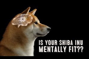 shiba inu mental stimulation