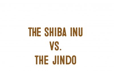 The Japanese Shiba Inu Vs. The Korean Jindo Dog