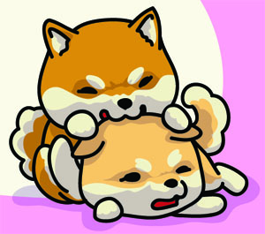 How Draw A Cute Dog [A Shiba Inu Doge] - My Shiba Inu