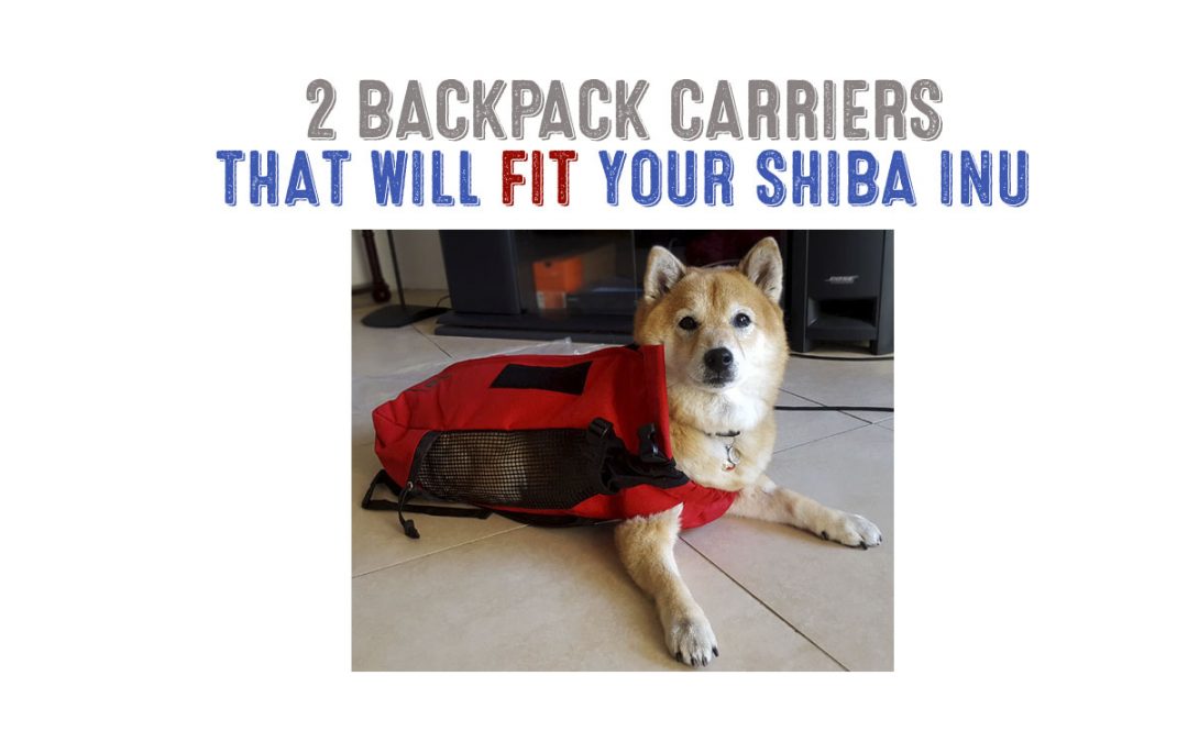 Best Dog Backpack Carrier For Shiba Inus