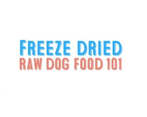 blog title freeze dried raw dog food 101
