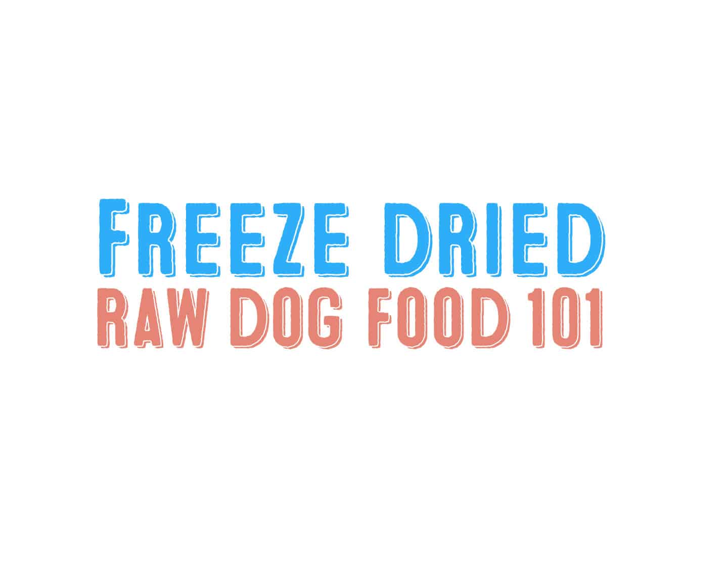 Affordable freeze clearance dried dog food