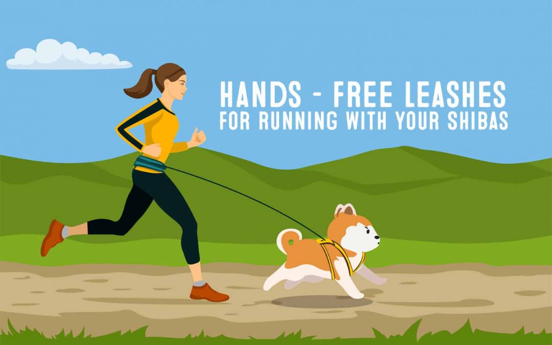 Best Hands Free Running Leash For Running With Doge