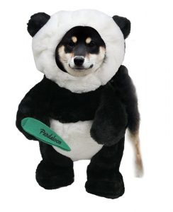 shiba inu panda costume